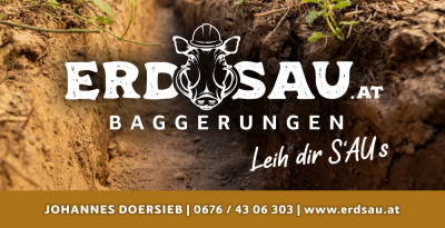 Logo_erdsau_1000