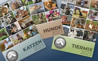 tsv-kalender_faecher_2023.jpg