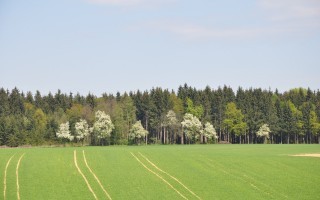 DSC_1098.jpg