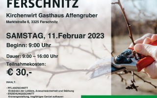 Plakat-Baumschnittkurs-Ferschnitz