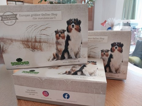 Hundebox