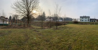 IMG_2991.JPEG