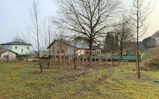IMG_2993.JPEG