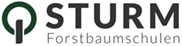 sturm