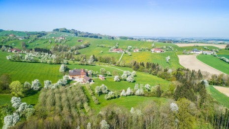 Pressefoto 3_(c)cleanhill studios.jpg