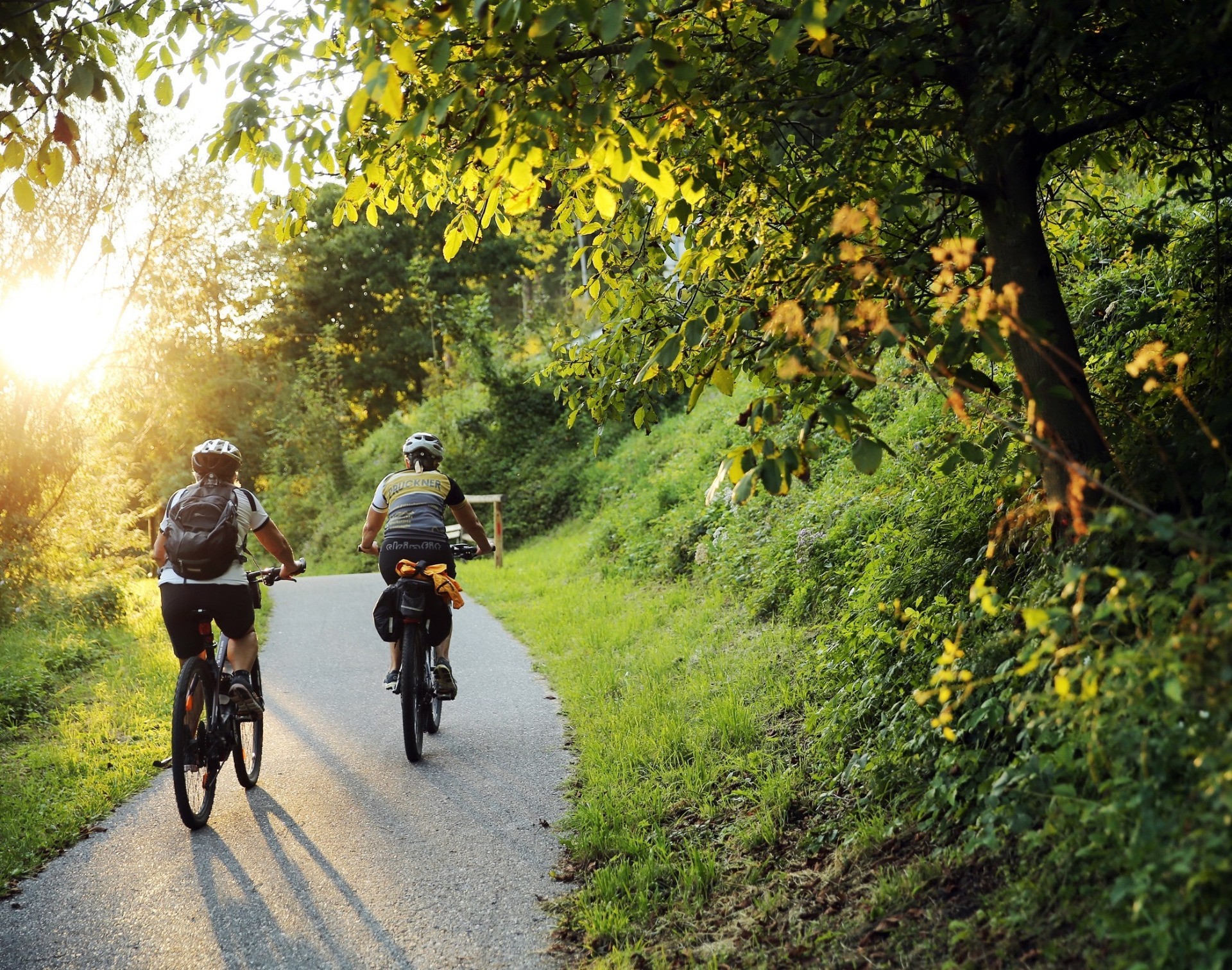 Kleiner Erlauftalradweg(c) Mostviertel Tourismus, weinfranz.at