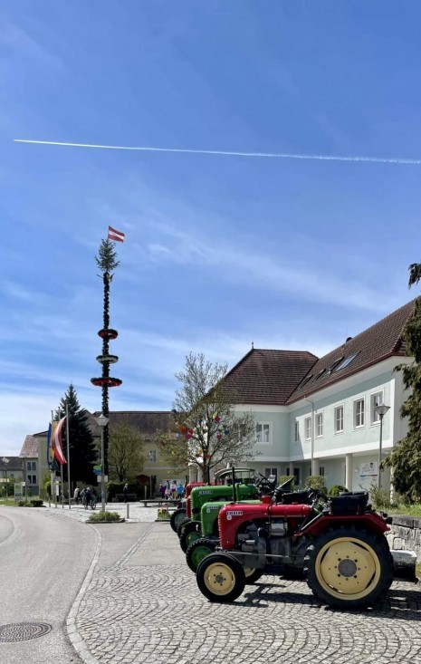 Der Maibaum