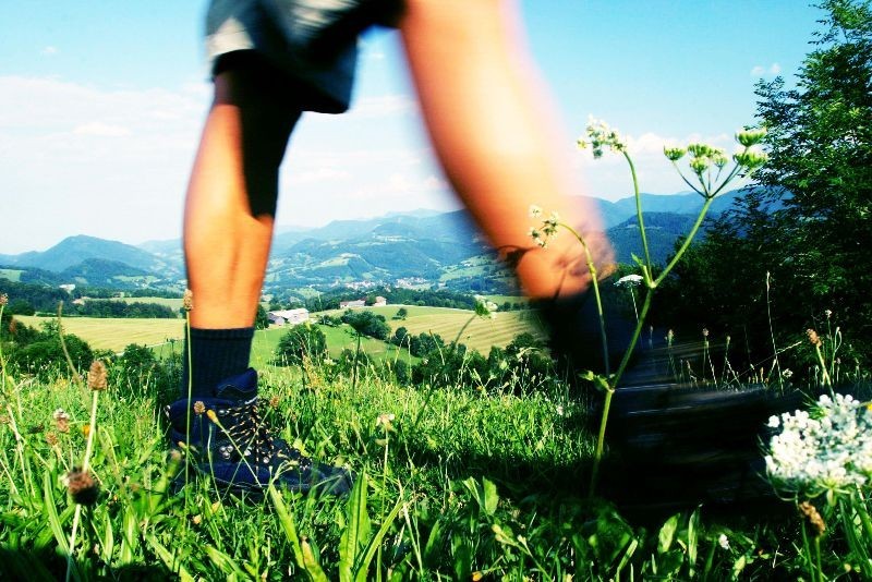 Impressionen Ardagger