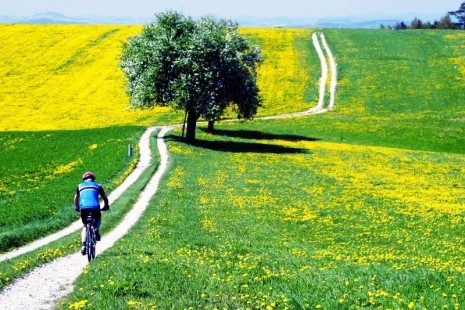 radfahrer_blte1.jpg