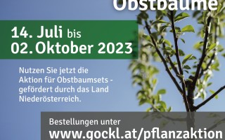 Flyer_Pflanzaktion_2023_Moststrasse