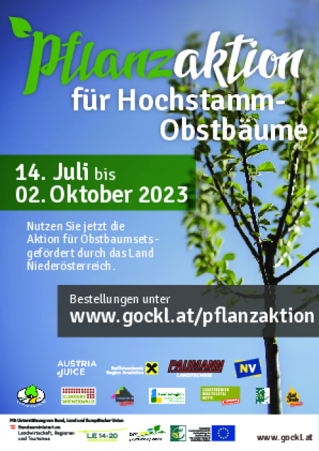 Flyer_Pflanzaktion_2023_Moststrasse.pdf