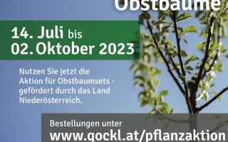 Flyer_Pflanzaktion_2023_Moststrasse.jpg