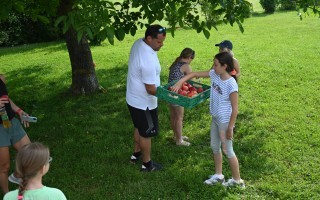 DSC_5920.JPG