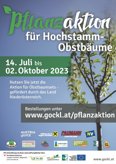 Pflanzaktion_2023_Moststrasse.jpg