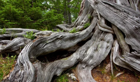 Wandern und Bergsteigen