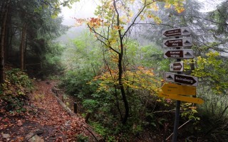 Wandern in Reinsberg