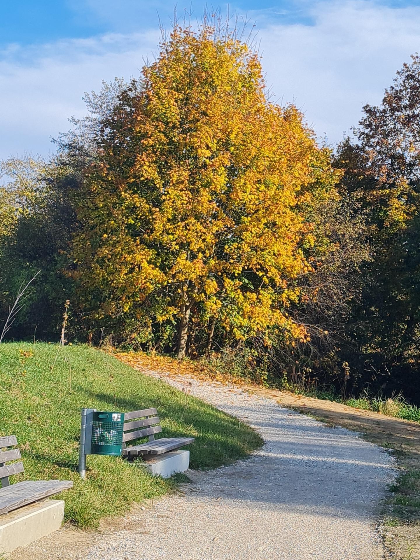 Schritteweg 2002