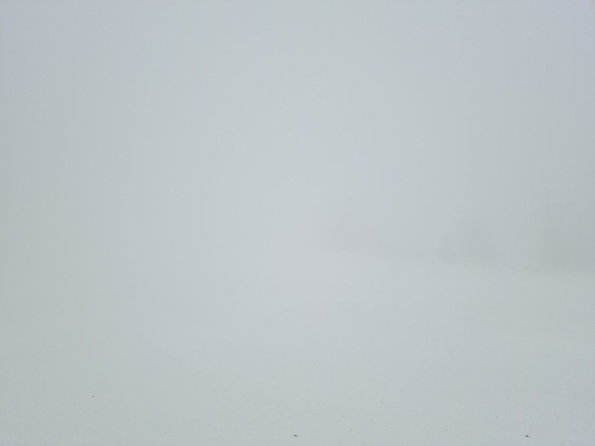 20240217_090927