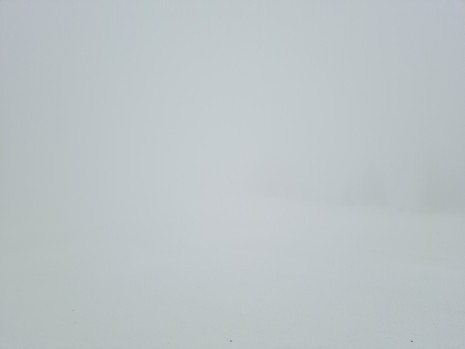 20240217_090927.jpg