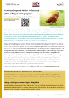 Hochpathogene Aviäre Influenza.pdf