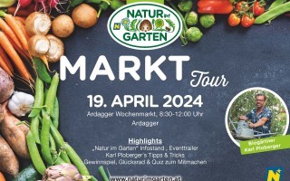 Inserat Ardagger Wochenmarkt 2024 oR.jpg