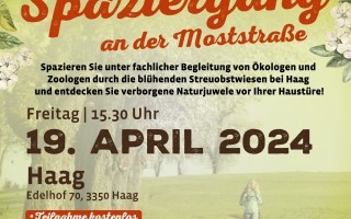 A4-Plakat-StreuobstwiesenSpaziergang2024_aktualisierte-Adresse.jpg
