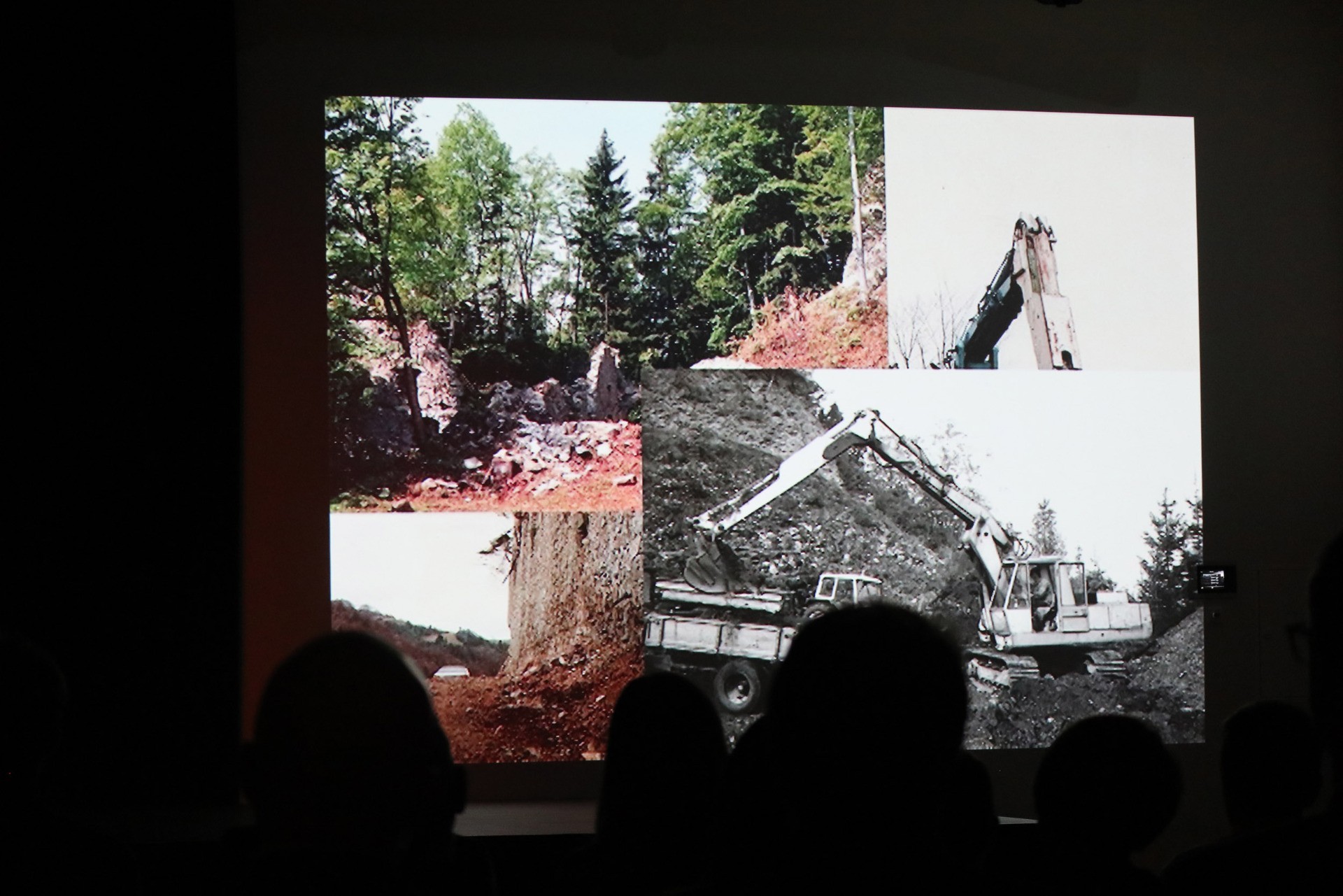 Baumaschine arbeitet an einer Hangrutschung mit Bäumen im Hintergrund.
