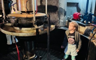 IMG_7553.jpeg