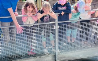 IMG_7538.jpeg