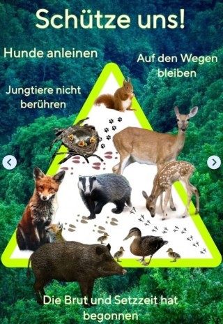 Wild Setzzeiten.jpg