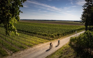 2_Weinland Traisental (c) schwarz-koenig.at.jpg