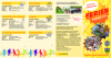 Folder Ferienspiel 2024