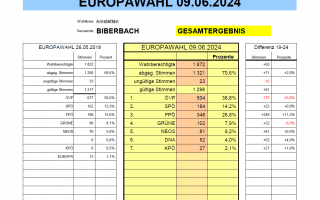 EU Wahl 2024 Gesamtergebnis.png