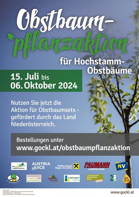 Obstbaumpflanzaktion_2024_Moststrasse