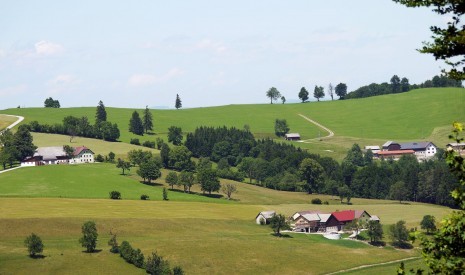 Grestner Hochkogel