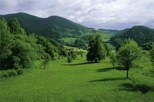 grestnerhochkogel2.jpg