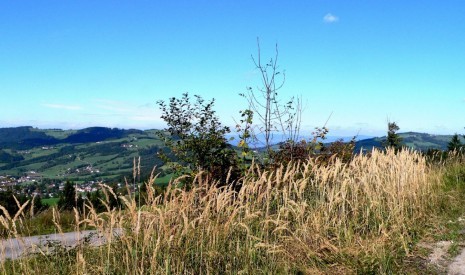 Panoramahöhenweg