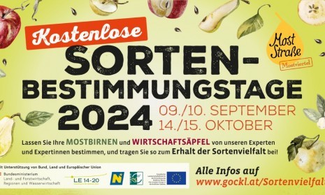 A5-Plakat-Sortenbestimmungstage2024-Uebersicht-WEB