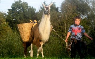 Lama-Trekking.jpeg