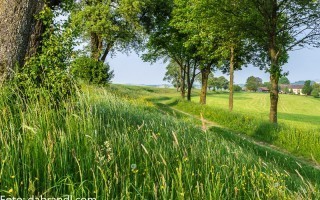 Wandern und Reiten