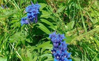 IMG_20240824_093713.jpg