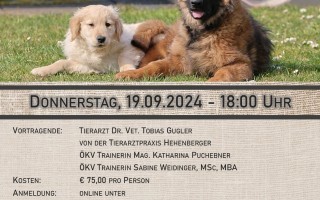 NOE_Hundehaltesachkundeverordnung_Ausschreibung_19092024.jpg