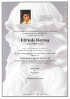 Herzog Elfriede_Parte 2