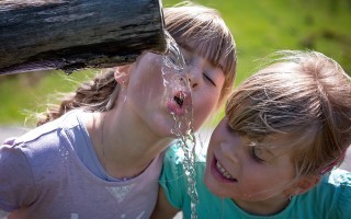 Lebensgrundlage Wasser