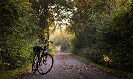 Mostviertler Schienenradl