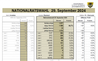 Wahlergebnis 2024_vgl 2019.png