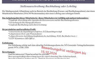 Bewerbung Buchhaltung2.png