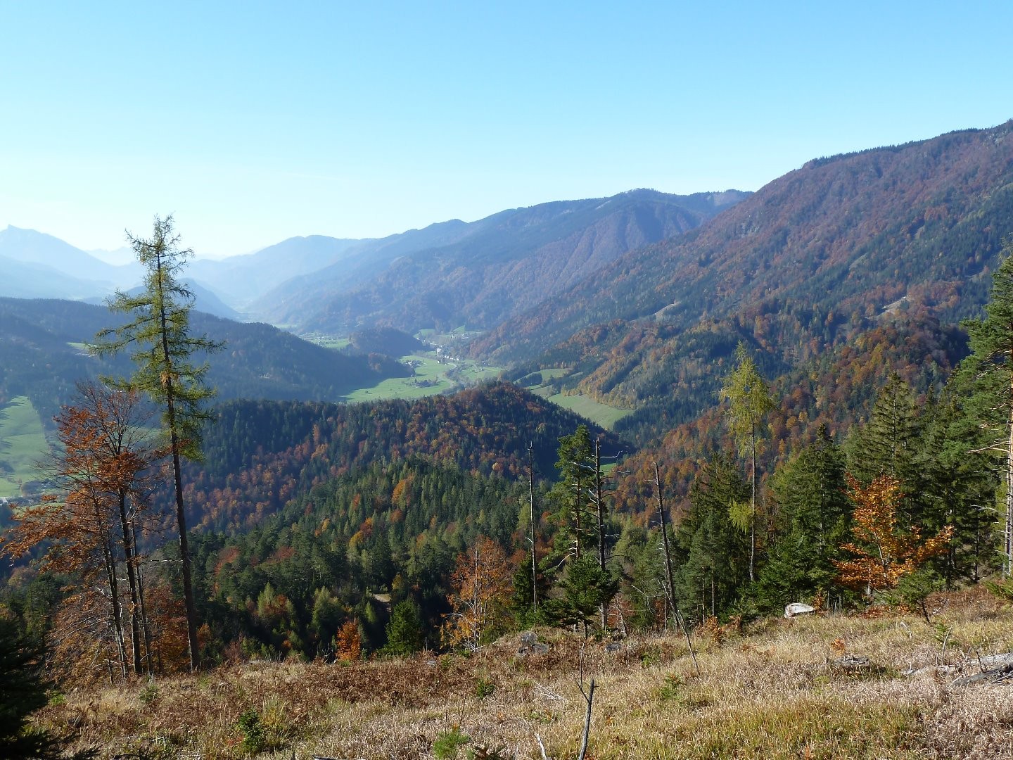Gem.St.Georgen_Herbst