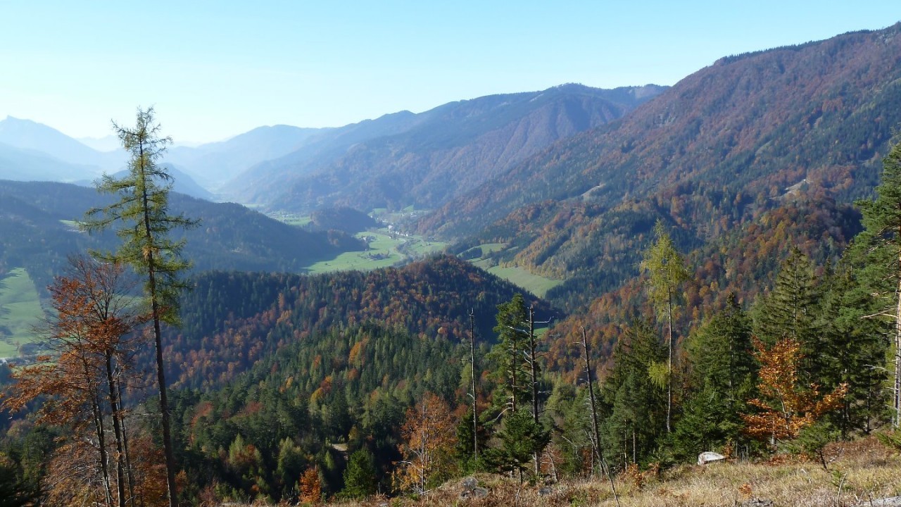 Gem.St.Georgen_Herbst.JPG