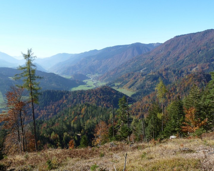 Gem.St.Georgen_Herbst.JPG